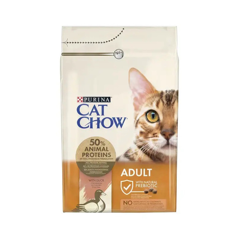 Chats