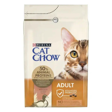Chats